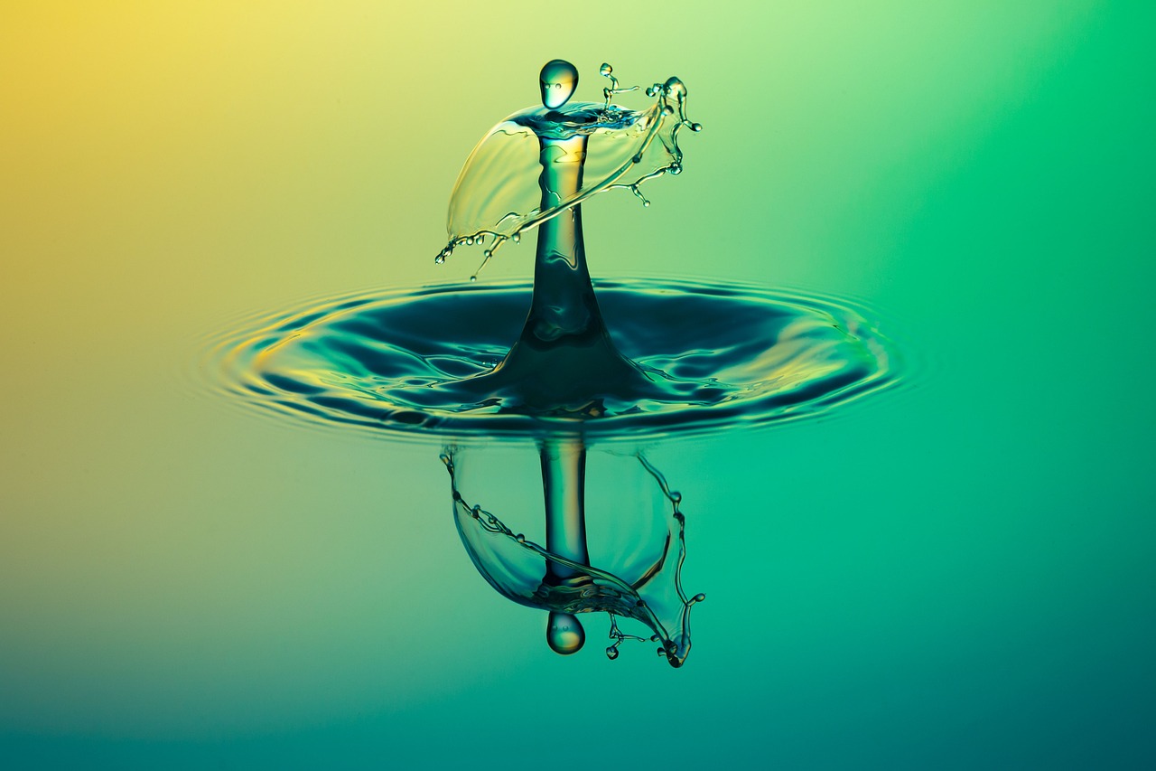 The Importance of Water Conservation